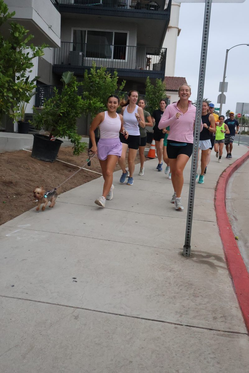 a run club jogging toward the camera on a sunny sidewalk, a small dog leading the way